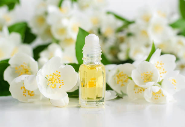 Jasmine Oil 10Ml 1pc
