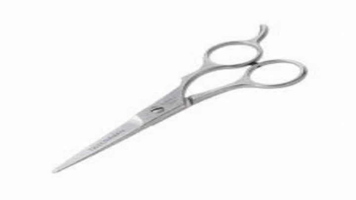 Straight Scissors All Purpose Big Ss