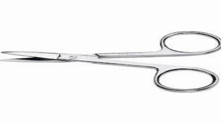 Nail Small Silver Scissors