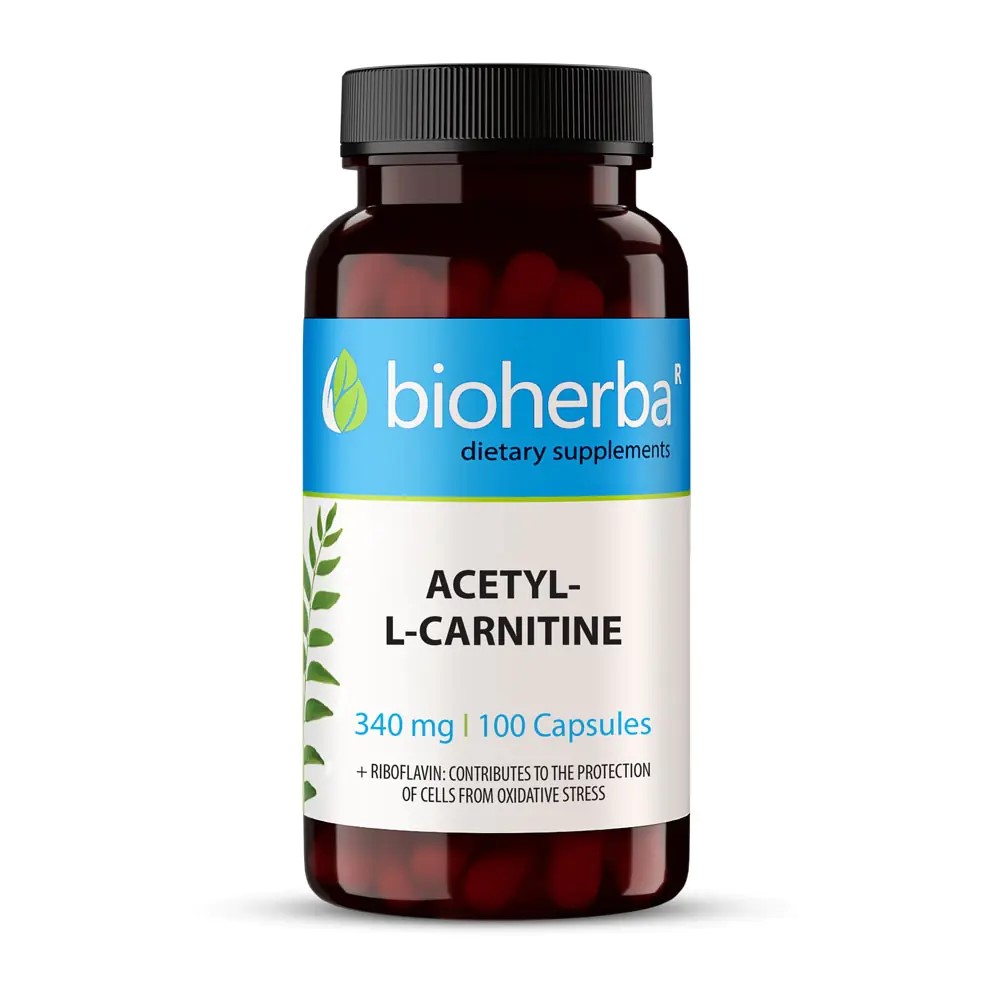 Acetyl-L-Carnitine, 340 mg, 100 Capsules, Bioherba