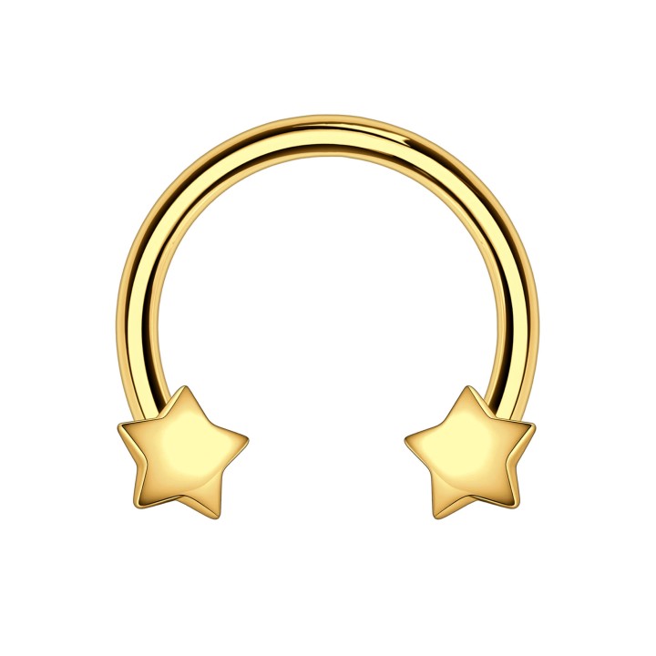 Conch Rook Earring Horseshoe Jewelry Circular Barbell Ring Helix Hoop - Gold / 16G / 10 mm