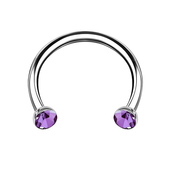 Rook Earring Horseshoe Jewelry Circular Barbell Hoop Tragus Piercing Nose Ring - Purple / 16G / 08 mm