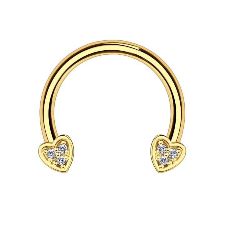 Daith Hoop Rook Earring Jewelry Circular Barbell Hoop Nose Ring - Gold / 16G / 10 mm