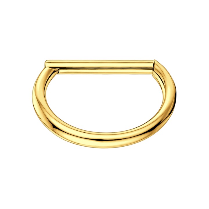 Piercing Jewelry Cartilage Earlobe Huggie Ear Clicker Rook Hoop - Gold / 16G / 08 mm