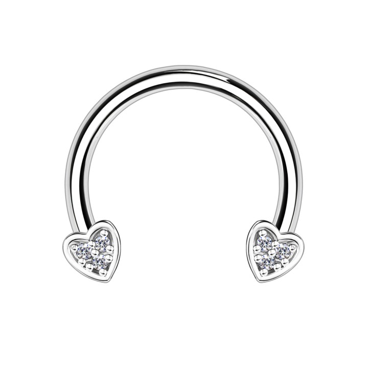 Horseshoe Earring Conch Ring Piercing Tragus Helix Hoop - Silver / 16G / 10 mm