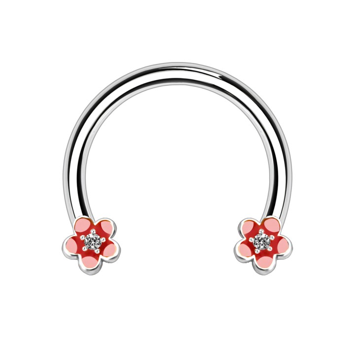 Horseshoe Jewelry Rook Earring Cartilage Ear Piercing - Silver / 16G / 10 mm