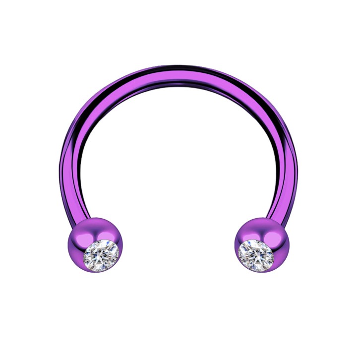 Horseshoe Earring Nose Hoop Circular Barbell Tragus Piercing Earring - Purple / 16G / 08 mm