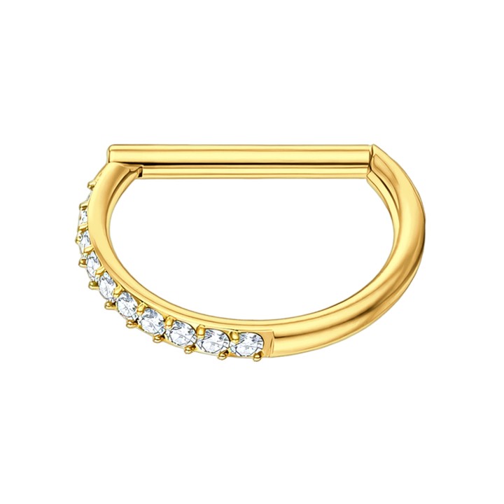 Cartilage Earring Rook Piercing Ear Hoop Ring Clicker - Gold / 16G / 12 mm