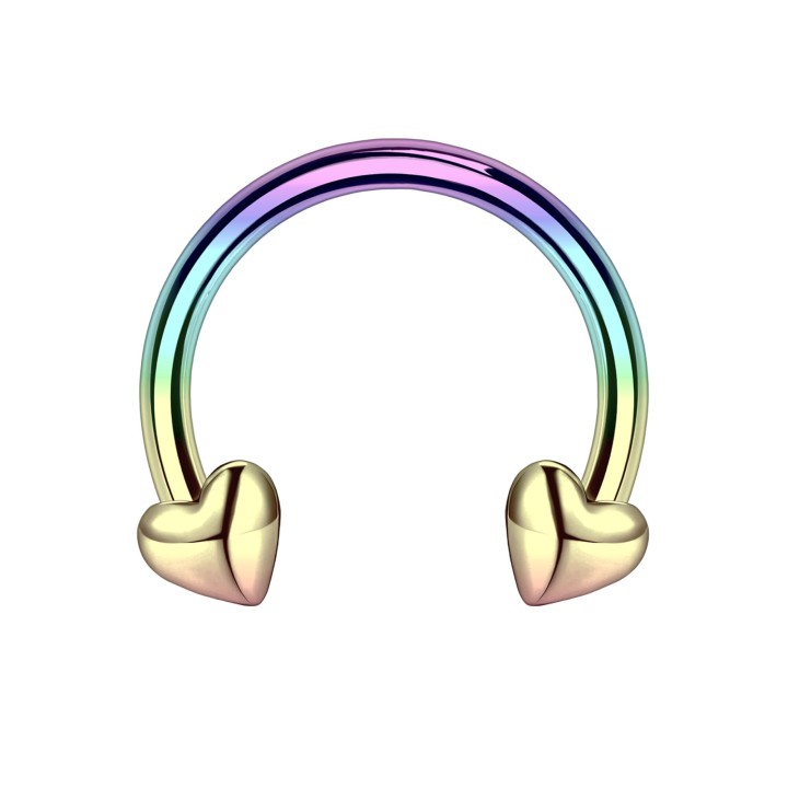 Eyebrow Piercing Ear Hoop Circular Barbell Jewelry Rook Earring - Rainbow / 16G / 10 mm