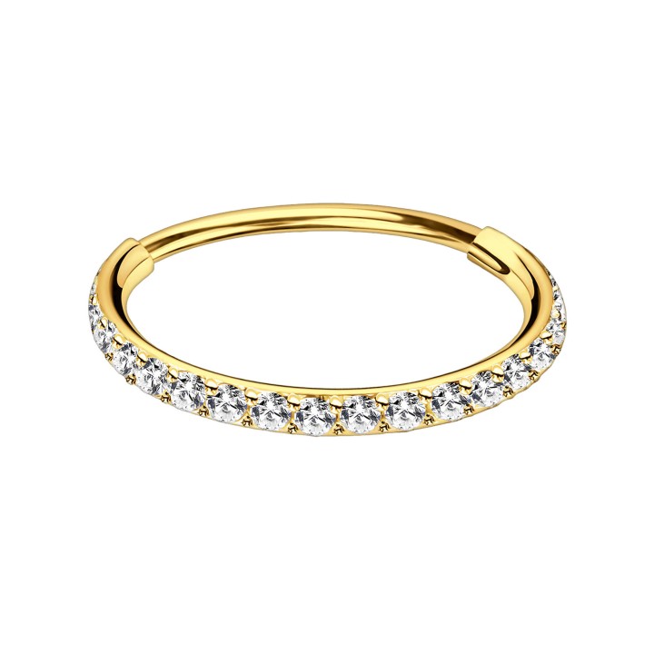 Earlobe Hoop Cartilage Earring Rook Nostril Piercing Huggie - Gold / 20G / 06 mm