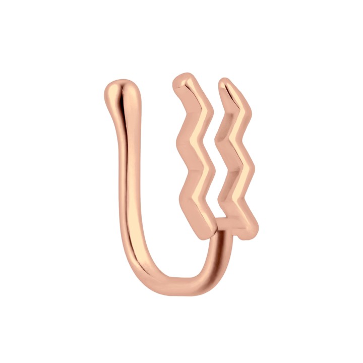 Piercing Ring Jewelry - Aquarius