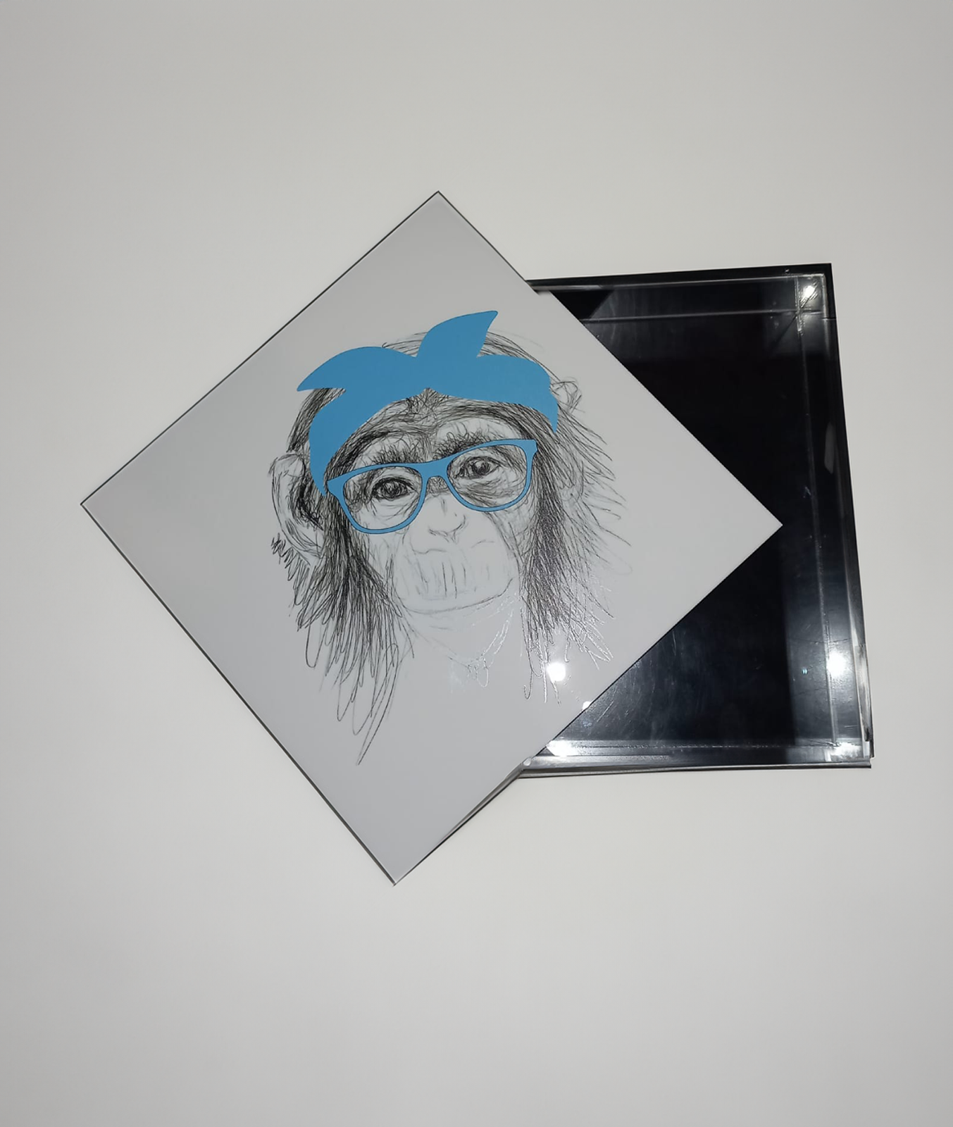 Plexi monkey box colour blue size 18x18