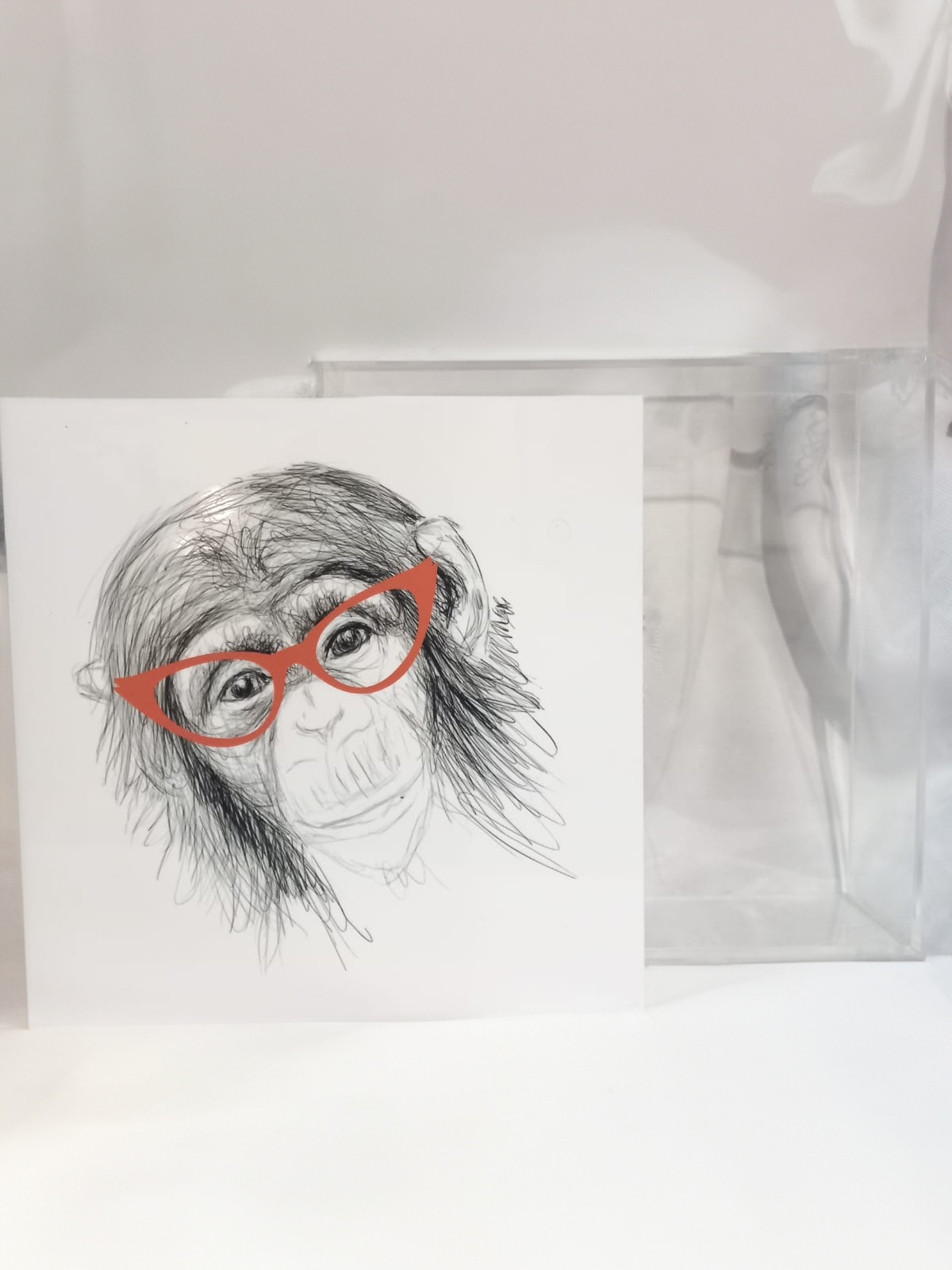 Plexi monkey box colour red size 18x18