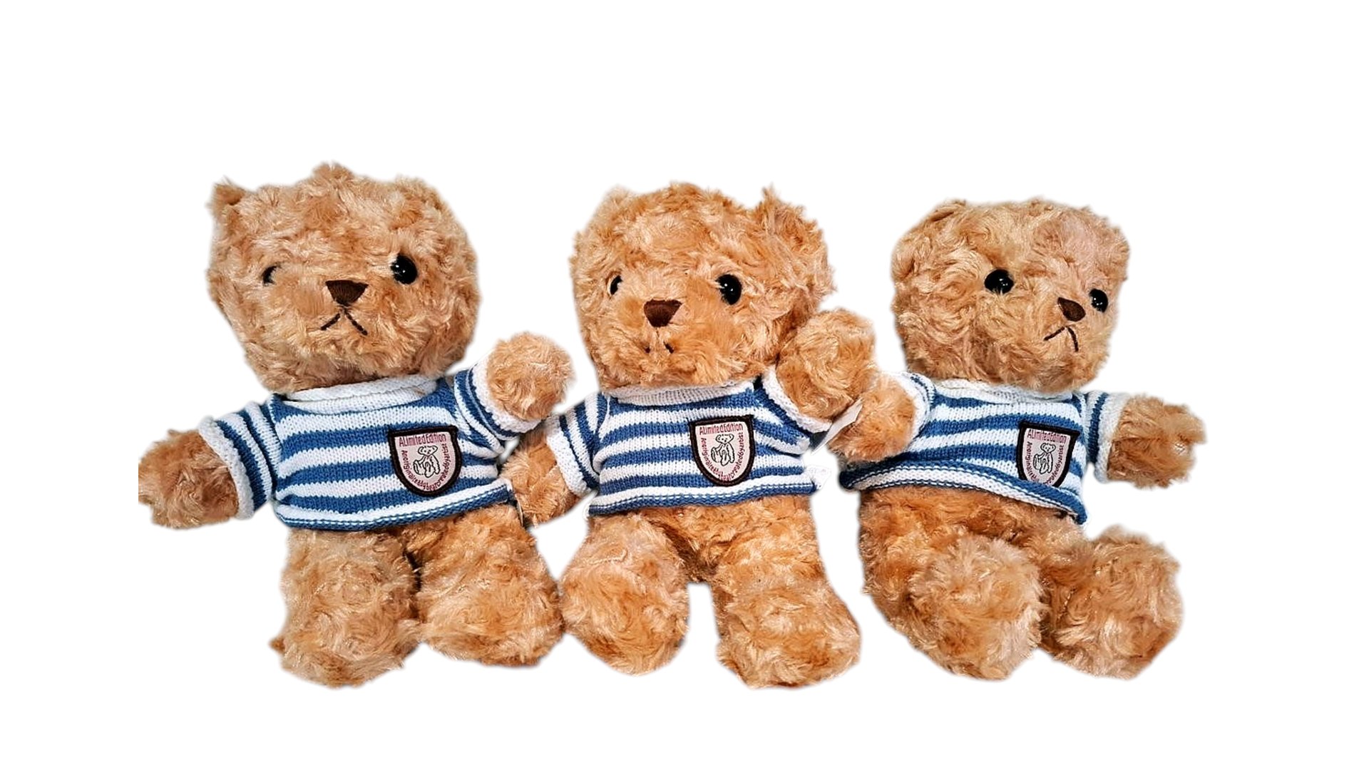 Brown Blue Stripes 30cm