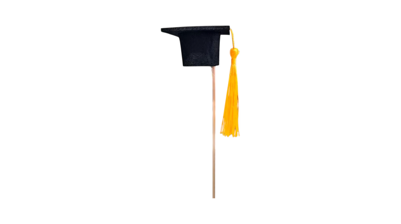 Graduation Hat on stick