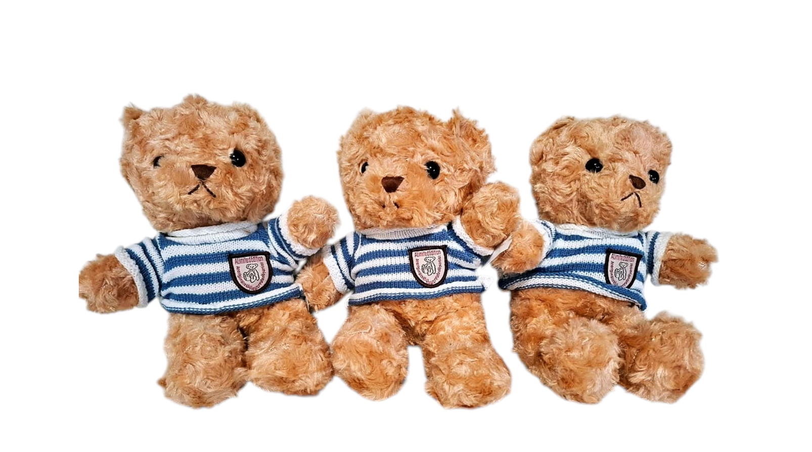 Teddy Bear Brown Blue Stripes 30cm