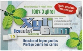 Xyligum, Chewing Gum Icemint 15Gr