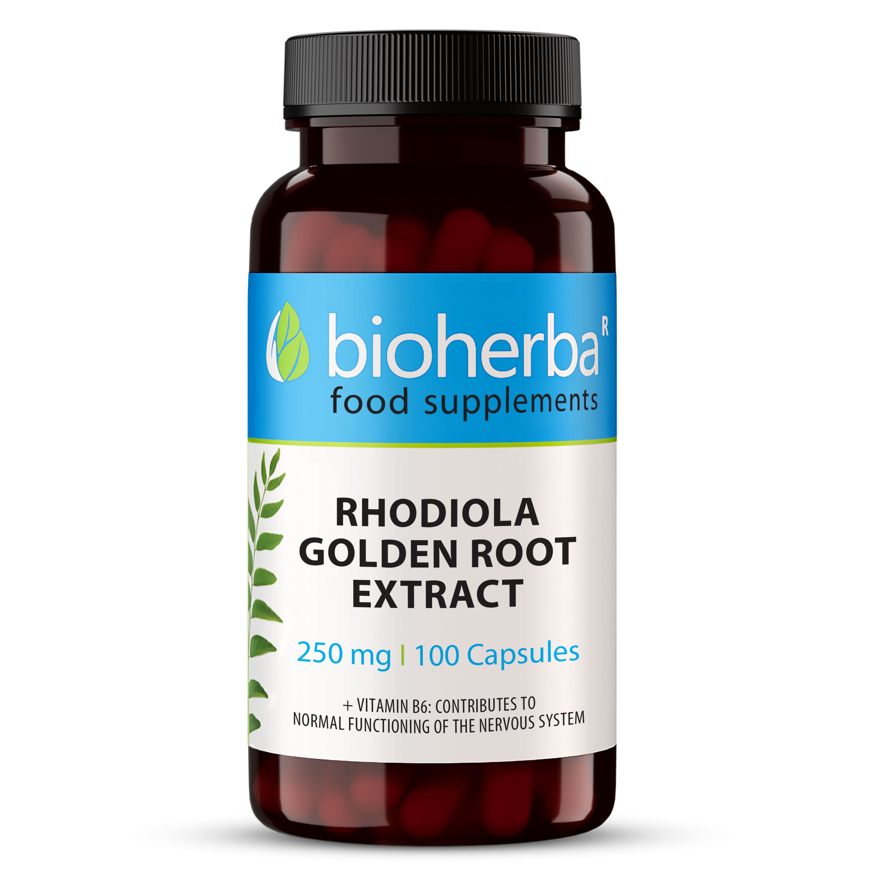 Rhodiola Golden Root Extract, 250 mg, 100 Capsules, Bioherba