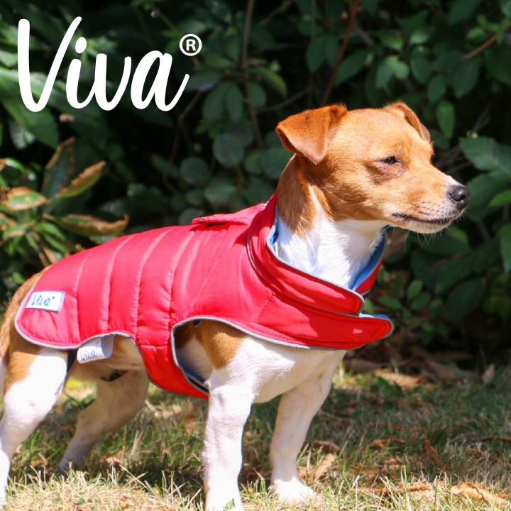 Ancol Viva Reversible Coat Red/Blue Extra Small 25cm