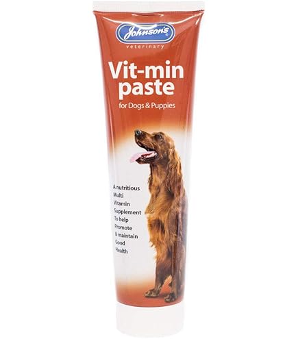 Johnsons Vit-min Paste for Dogs 100g