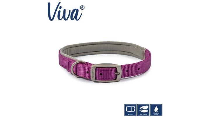 Ancol Viva Padded Buckle Collar Purple 50-59cm