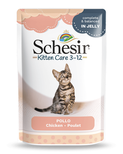 Schesir Kitten Pouch Jelly Chicken Fillets 85gm