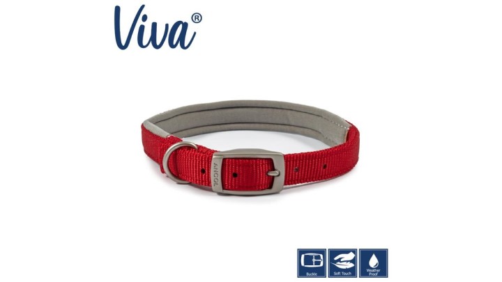 Ancol Viva Padded Buckle Collar Red 35-43cm