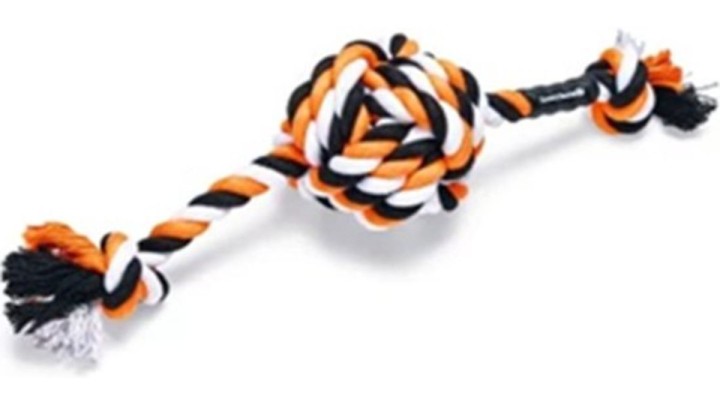 Beeztees Multicolor Bari Ball Toy for Dogs