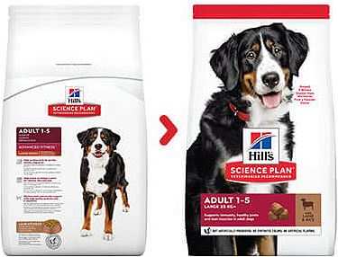 Hills Science Plan Large Adult Dog Lamb 14kg bonus bag