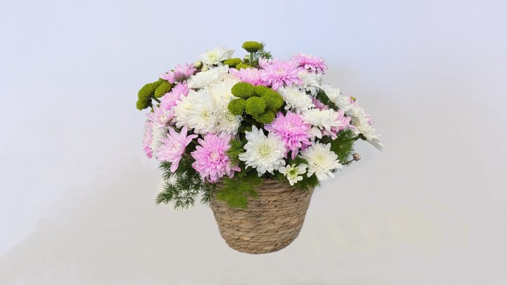 Chrysanthemum Bliss Basket