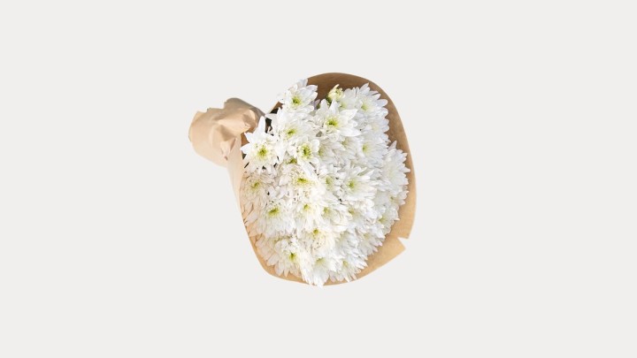 White Chrysanthemums Bunch