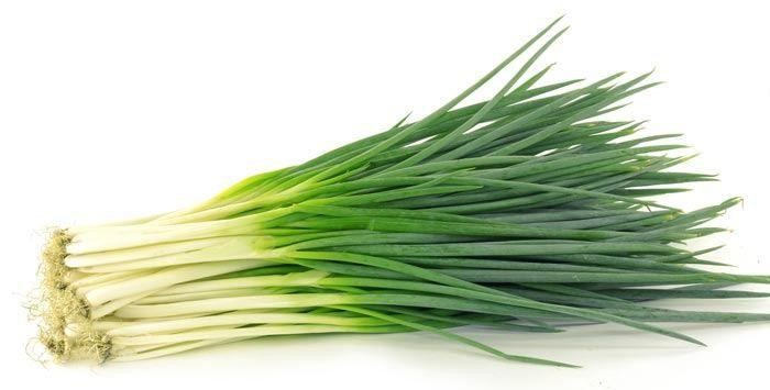 Spring Onion