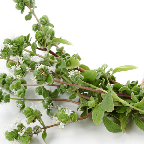 Bioiasis Marjoram (Ματζουρανα) 30G Bio