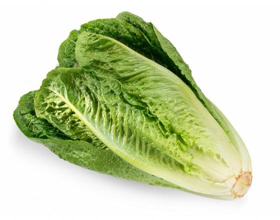 Bio Lettuce Per Bunch