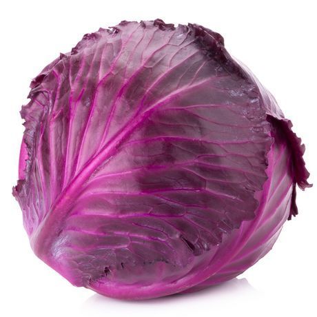 Cabbage Red Bio