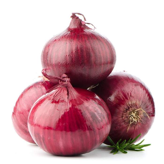 Red Onion Bio