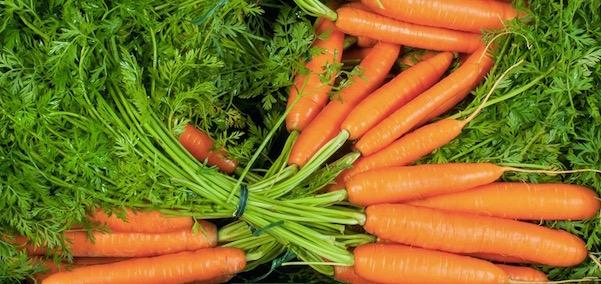 Carrots