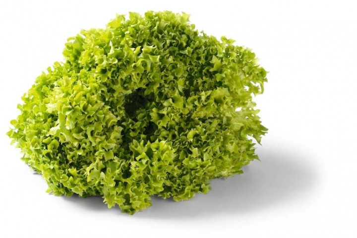 Bio Lolo Bianco (Green)