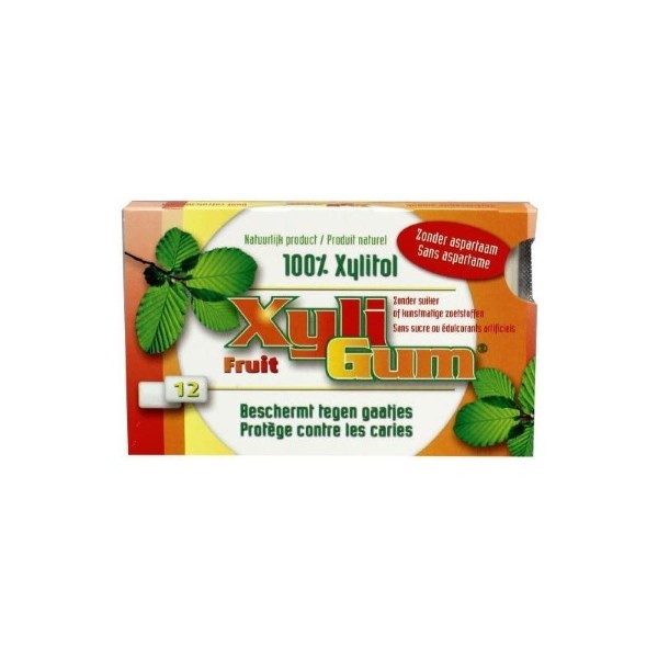 Xyligum Chewing Gum Fruits 15Gr