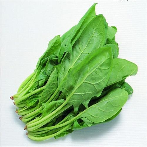 Spinach Bio