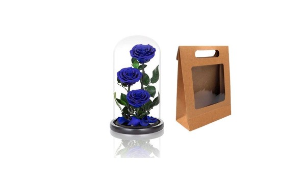 Preserved Roses (Forever Roses)