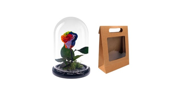 Rainbow Forever Rose