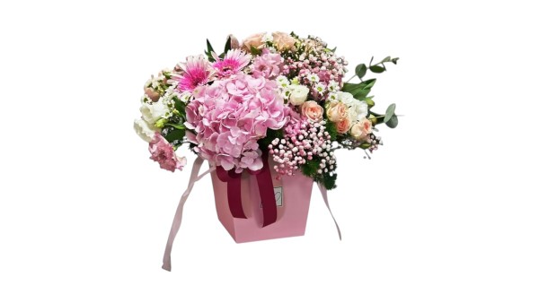 Hydrangea Pink Box Flower Shades