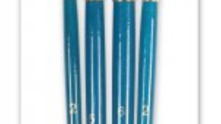 Daler-Rowney Simply Natural Brush Set 4 Pack