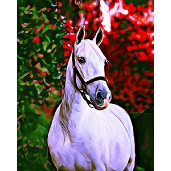 Painting by Numbers-White Horse with Red Tree 40x50cm Already Framed