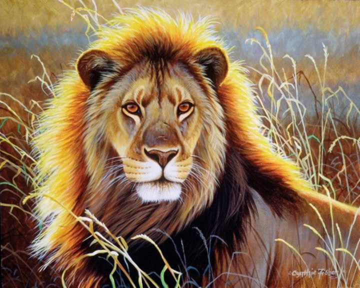 Paint by numbers Figured'Art Lion in the savannah 40x50cm Without frame
