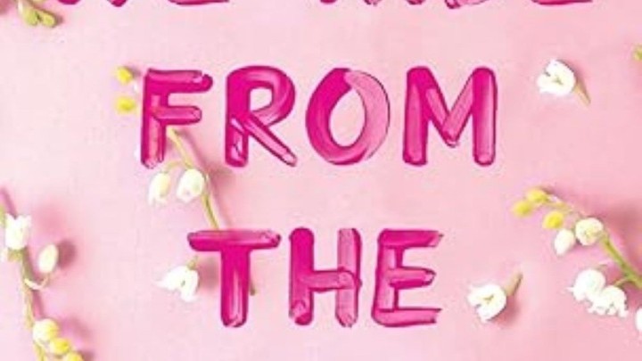 Things We Hide From The Light ,Lucy Score