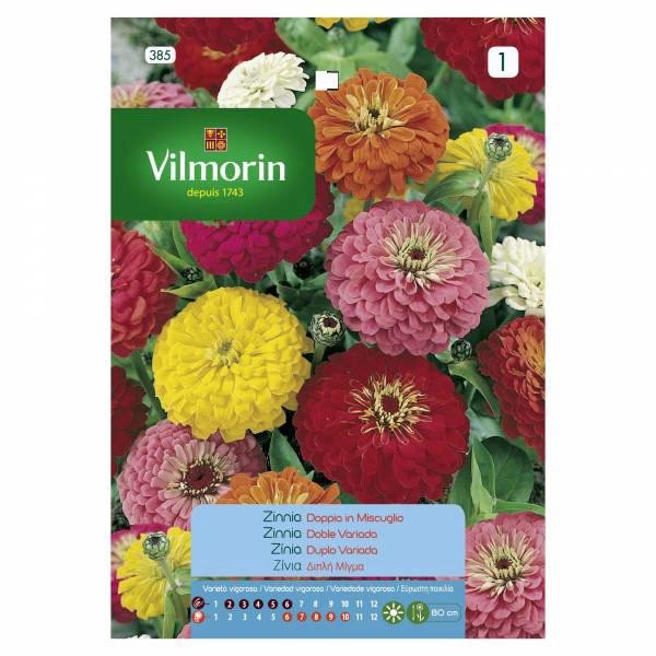 VILMORIN ZINNIA DIPLI MIX