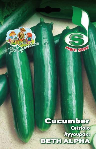 CUCUMBER BETH ALPHA 6GR