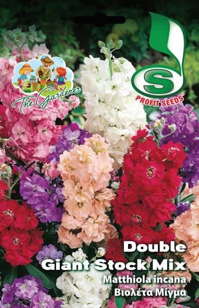 DOUBLE GIANT VIOLET MIX 0,8GR